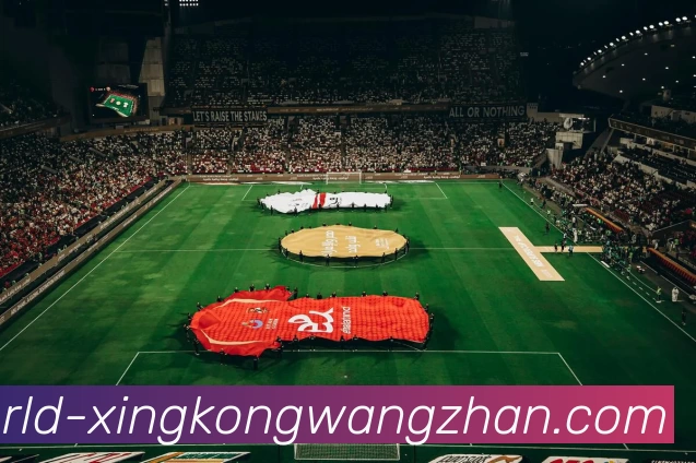 星空体育网站APP 封面图